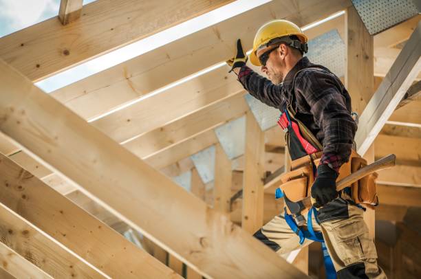 Best Roof Gutter Cleaning  in Ol, LA